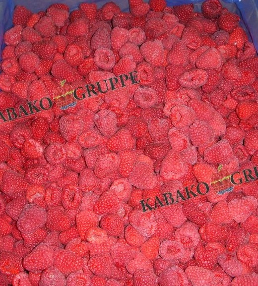 Frozen (IQF) Raspberries 41